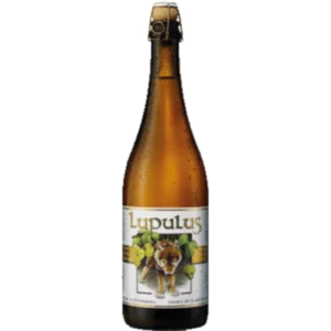 Lupulus Blonde Tripel 75CL